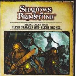 Flesh Stalker & Flesh Drones Deluxe Enemy Pack Shadows of Brimstone: