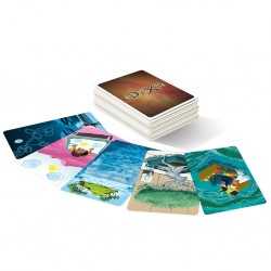 Dixit Mirrors